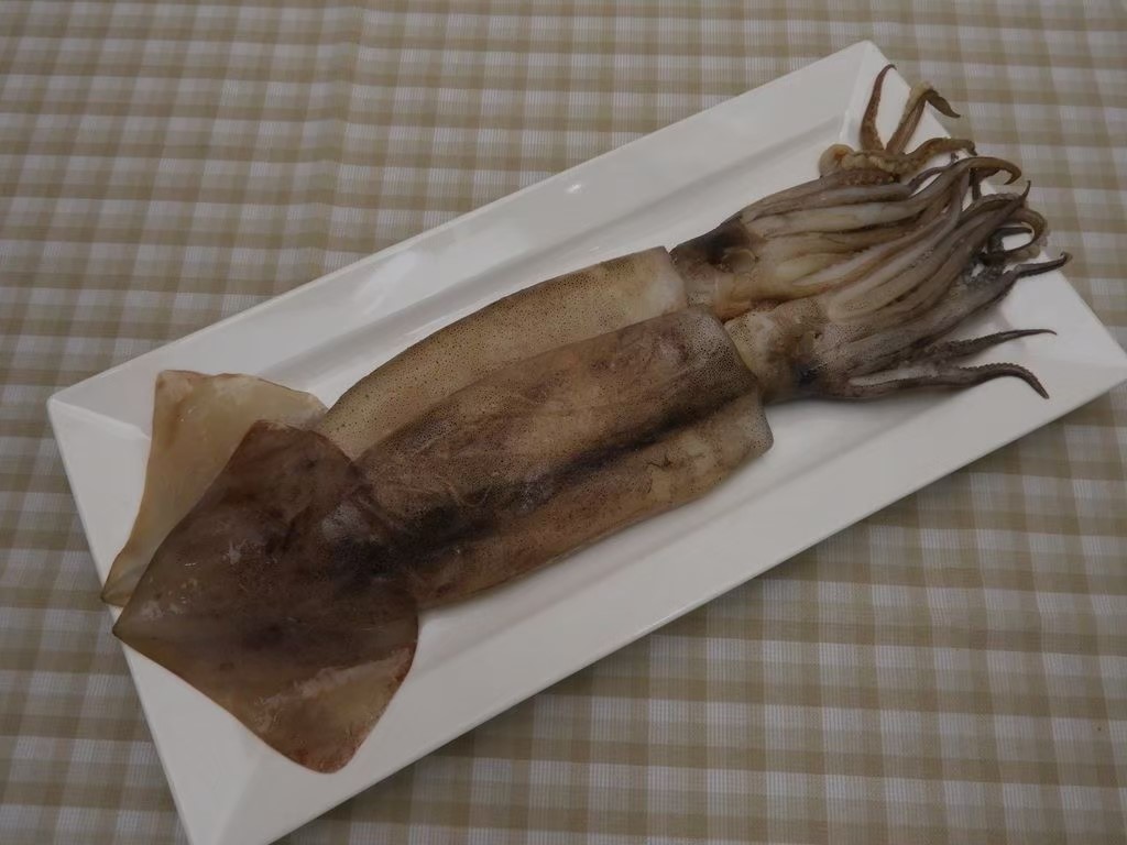 魷魚原料