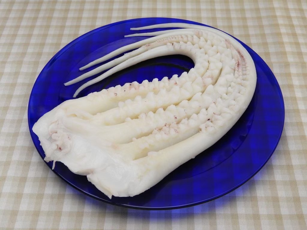 魷魚頭