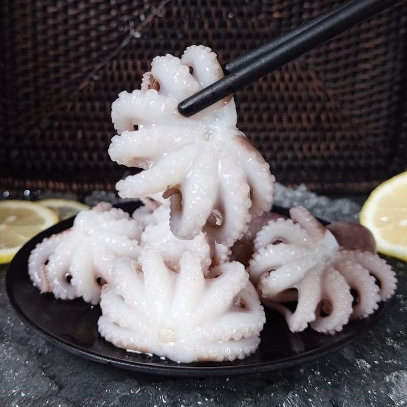 小章魚