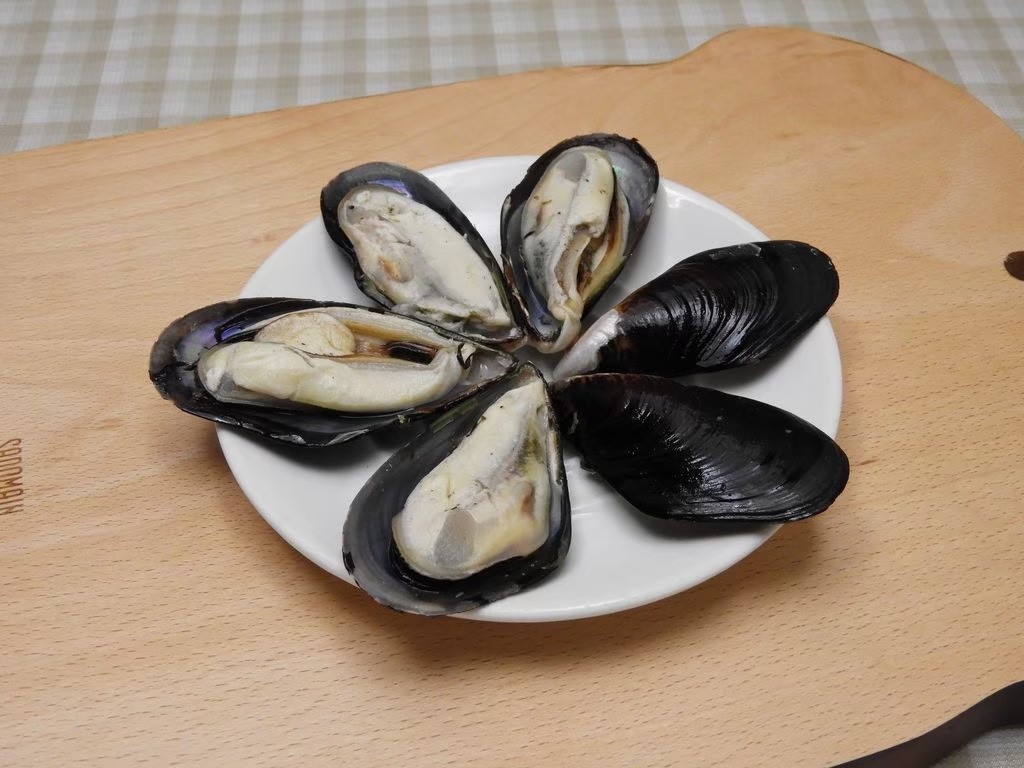 淡菜