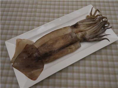 魷魚原料