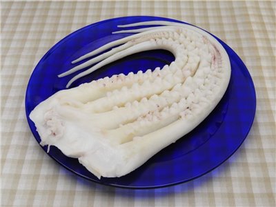魷魚頭