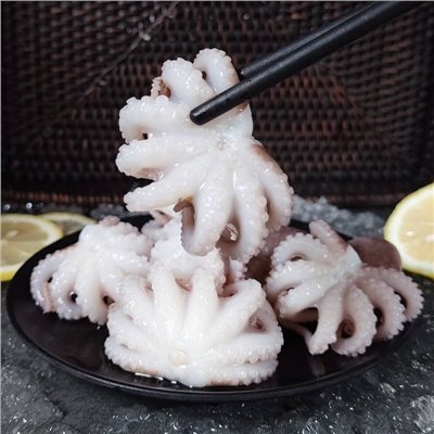 小章魚