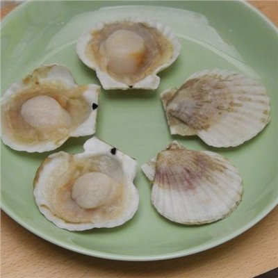 扇貝